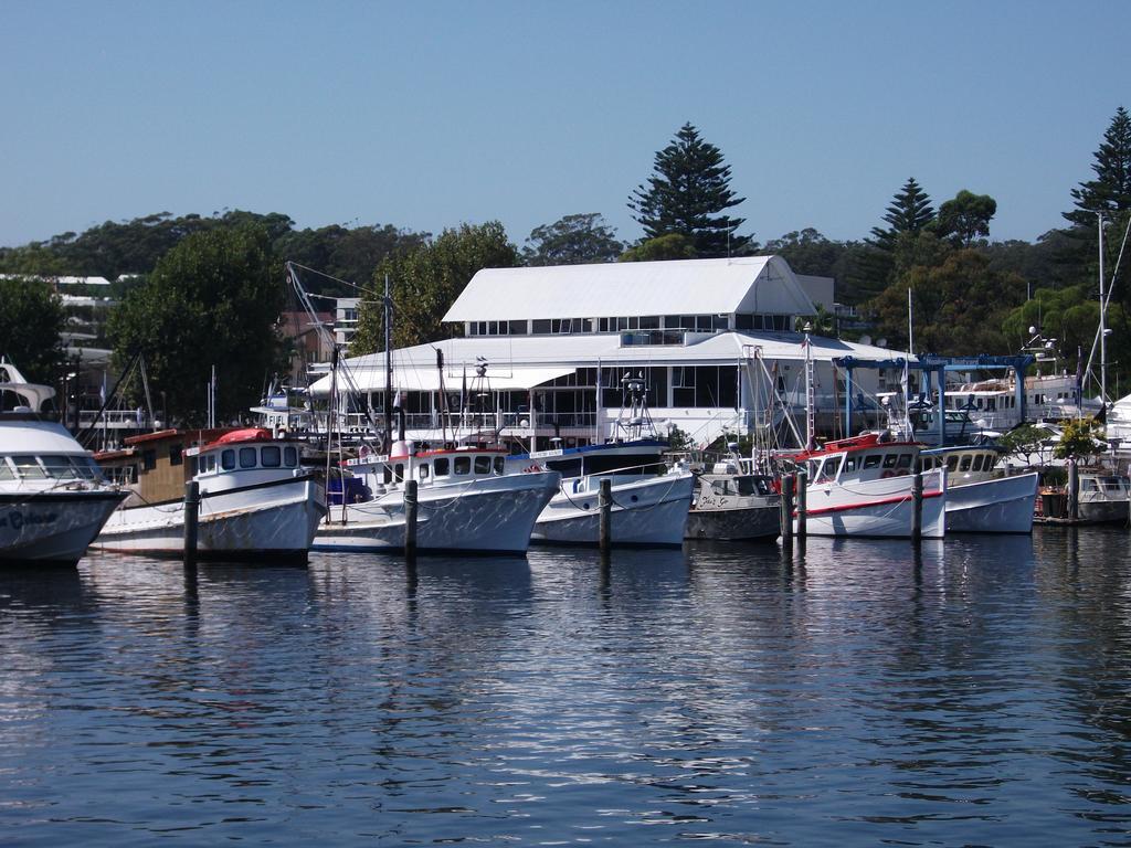 Tomaree Lodge Nelson Bay Exteriör bild